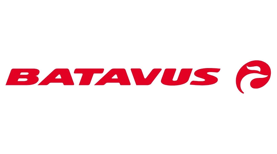 Batavus